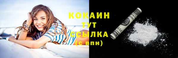 гидра Лагань
