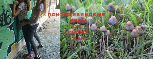 гидра Лагань
