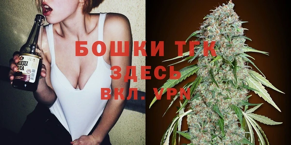 гидра Лагань