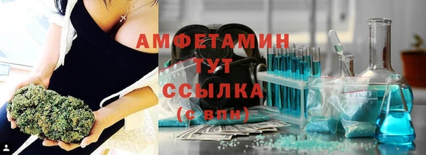 гидра Лагань